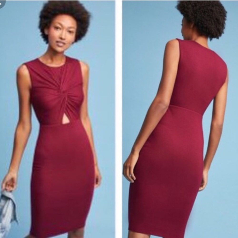 NWT Bailey 44 cutout dress